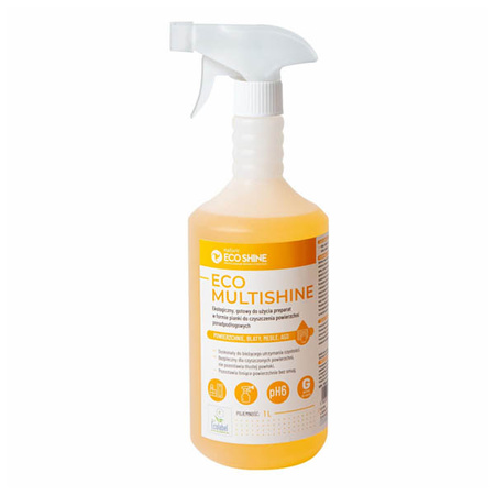 Universal-Reinigungsschaum für verschiedene Oberflächen Eco Shine 1 l, 1 Stück