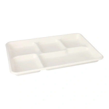Tablett aus Zuckerrohr, 5-teilig, 22 x 28,2 cm, 25 Stück
