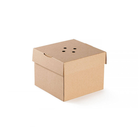 Aufklappbare Burger-Box, 15 x 15 x 12 cm, 100 Stück