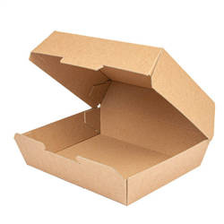 Thermobox 22,5 x 17 x 8,5 cm, 50 Stück