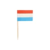 Party-Zahnstocher mit niederländischer Flagge, Länge 8 cm, 500 Stück