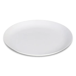PREMIUM-Teller aus Zuckerrohr „Artem“, Durchmesser 23 cm, 50 Stück