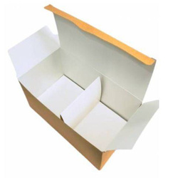 Papierbox XL mit Einlage, 22 x 12 x 11 cm, 100 Stück