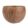 Schale aus Kokosnussschale, 200 ml, 9 x 6 cm, 5 Stück