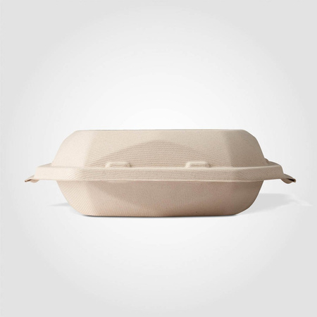 Schale aus Zuckerrohr, 1000 ml, 22,4 x 22,4 x 4,2 cm, 50 Stück
