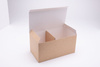 Papierbox XL mit Einlage, 22 x 12 x 11 cm, 100 Stück