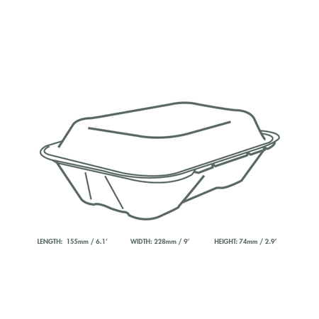 Menübox aus Zuckerrohr, ungeteilt, naturfarben, 22,8 x 15,5 x 7,4 cm, 50 Stück