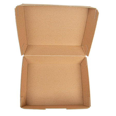 Thermobox 22,5 x 17 x 8,5 cm, 50 Stück