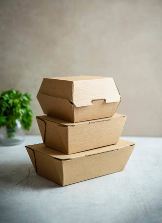 Thermobox aus Papier, 19,5 x 13 x 6 cm, 50 Stück