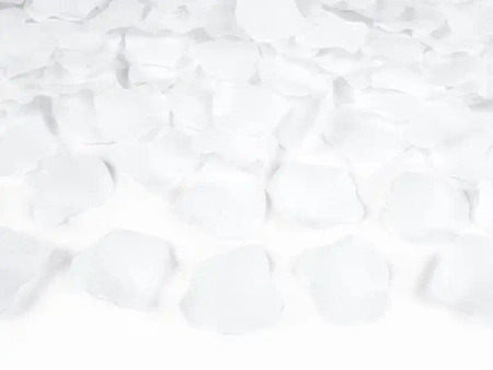 PLA-Champagnergläser, 100 ml, 5,5 x 16 cm, 6 Stück