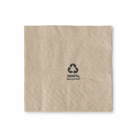 2-lagige Servietten „Recycled“, 20 x 20 cm, 100 Stück