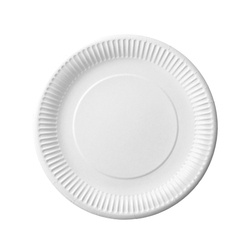 Weißer runder Pappteller, 23 cm, 100 Stück