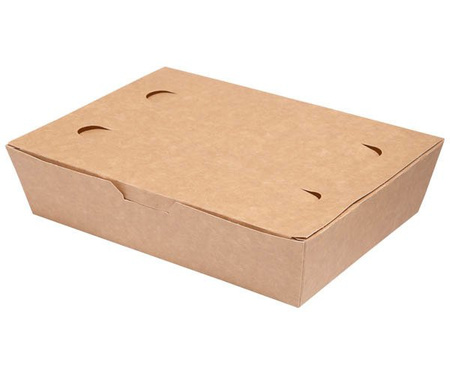 Große Lebensmittelbox 20 x 14 x 5 cm, 100 Stück