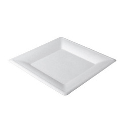 Teller aus Zuckerrohr, 26,2 x 26,2 cm, 50 Stück