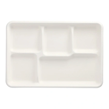 Tablett aus Zuckerrohr, 5-teilig, 22 x 28,2 cm, 25 Stück