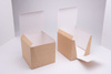 Burger-Box XL + Einlage 15,8 x 15,8 x 14,5 cm, 50 Stück