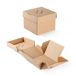 Aufklappbare Burger-Box, 13 x 13 x 10 cm, 100 Stück