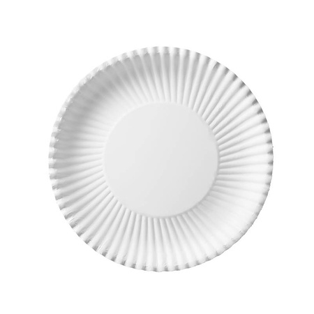 Weißer runder Pappteller, 24 cm, 100 Stück