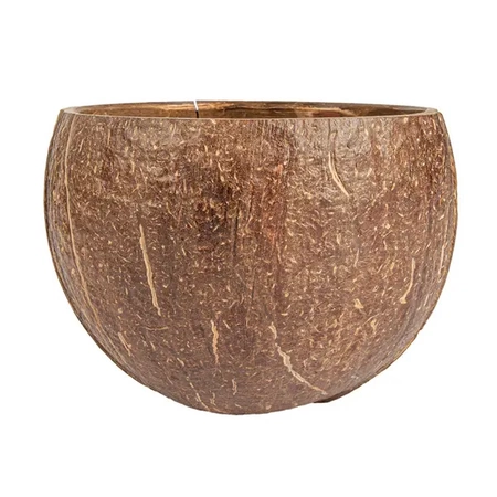 Schale aus Kokosnussschale, 200 ml, 9 x 6 cm, 5 Stück