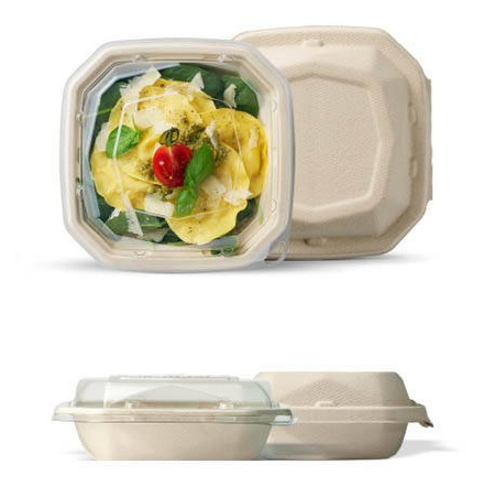 Schale aus Zuckerrohr, 1000 ml, 22,4 x 22,4 x 4,2 cm, 50 Stück