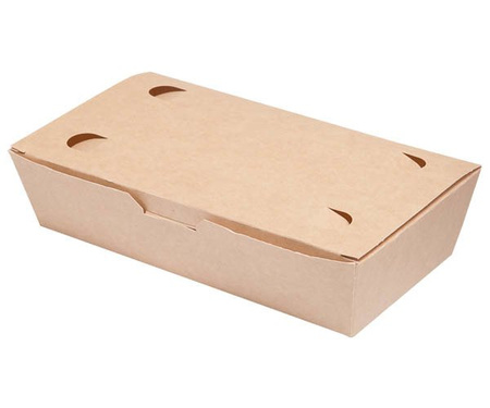 Kleine Lebensmittelbox 20 x 10 x 5 cm, 100 Stück