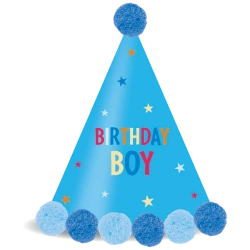 Papiermützen „Birthday Boy“ 1 Stück