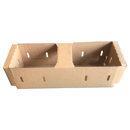 Kartonschalen für Obst/Gemüse, für 2 kg, 35 x 13 x 11 cm, 20 Stück