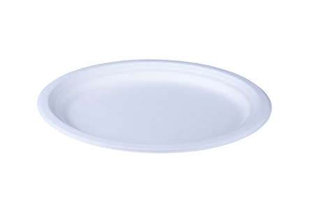 Schale aus Zuckerrohr 26,3 x 19,9 x 2 cm, 50 Stück