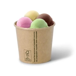 Kraftpapier-Eisbecher, 300 ml, Durchmesser 92 mm, 50 Stück