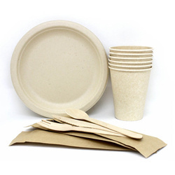 Picknick-Set für 6 Personen, 1 Stück