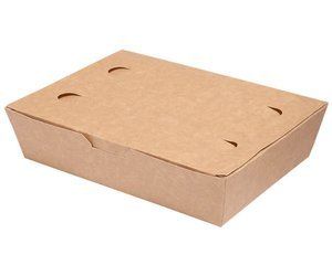 Große Lebensmittelbox 20 x 14 x 5 cm, 100 Stück